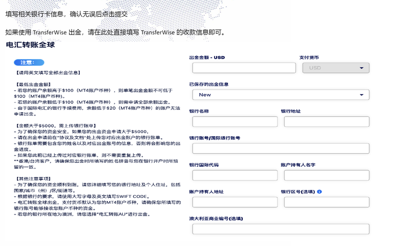 TMGM国际电汇入金教程