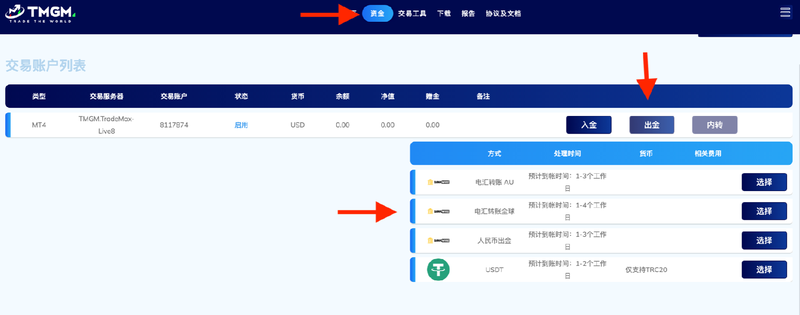 TMGM国际电汇入金流程