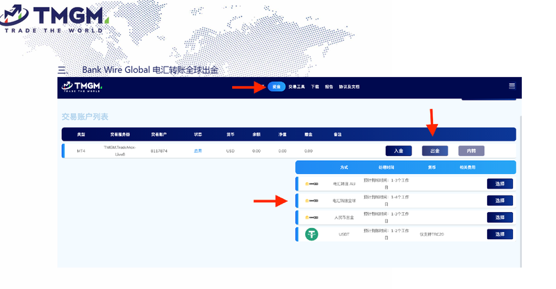 TMGM可以国际电汇出金吗