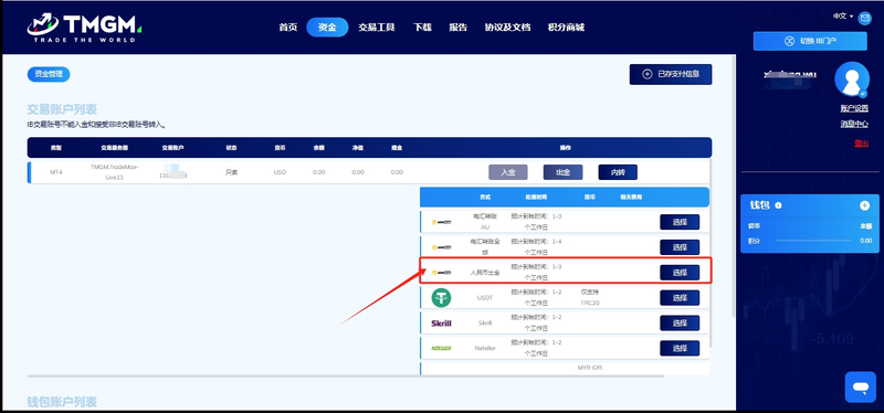 TMGM入金显示个人是正常的吗